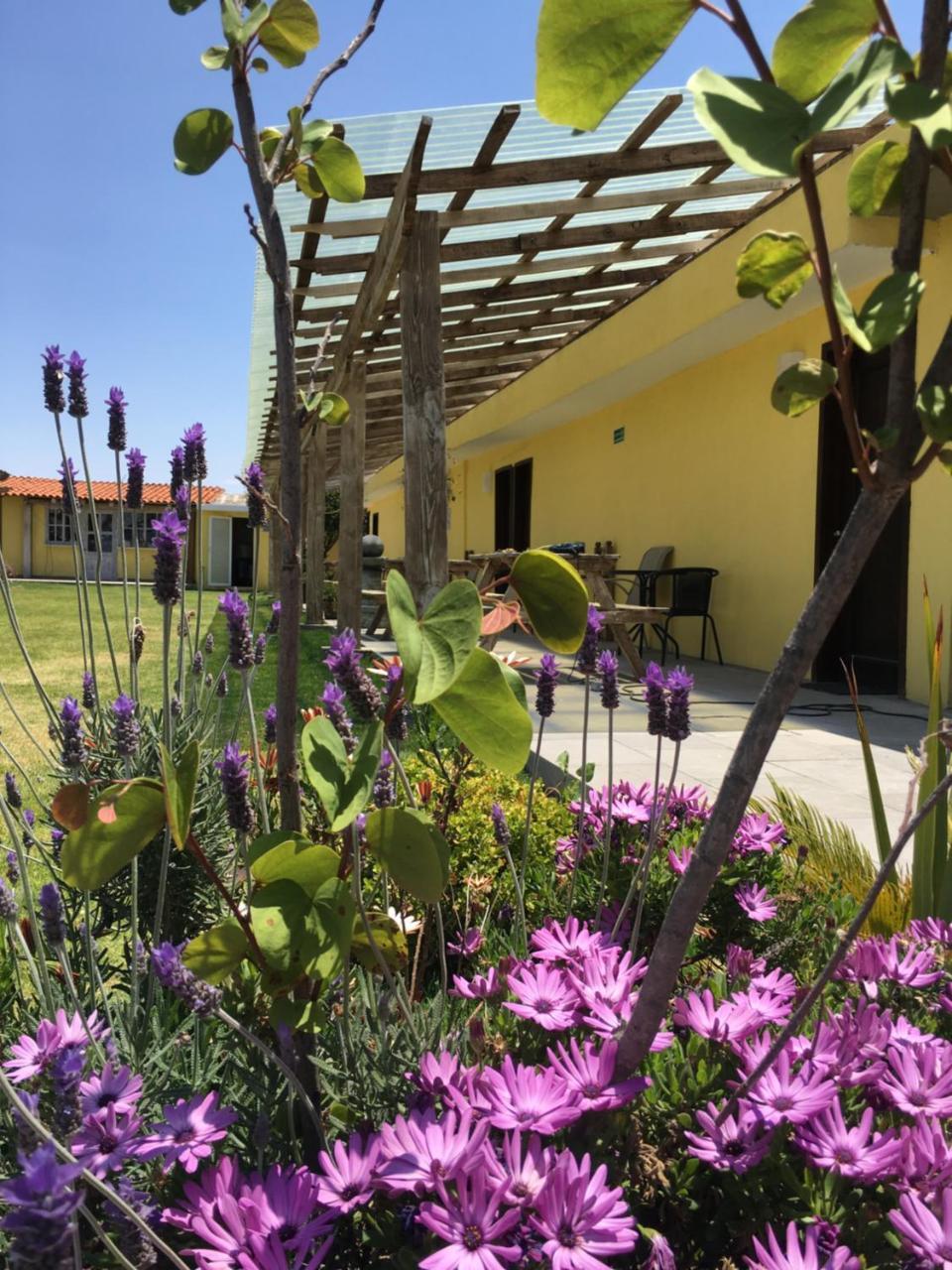 Hotel Quinta San Antonio Nopalucan de la Granja Exterior photo