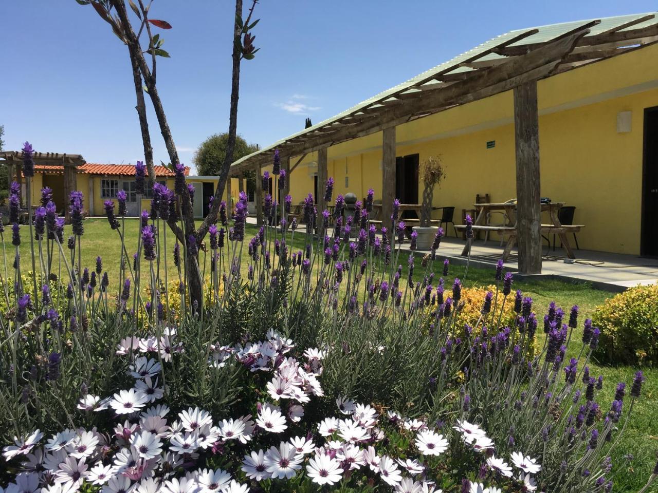 Hotel Quinta San Antonio Nopalucan de la Granja Exterior photo